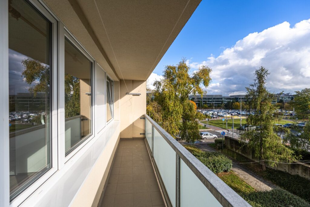 Pronájem bytu 3+1/B