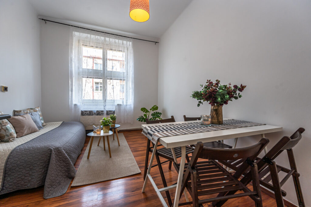 Prostorný byt 1+1, kousek od parku Parukářka